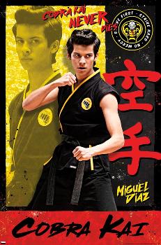 Cobra Kai: Seasons 1 & 2 (DVD) for sale online