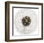 Seed Journey II-James Guilliam-Framed Giclee Print