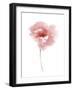 Aquarelle Blooms - Joy-Sandra Jacobs-Framed Giclee Print