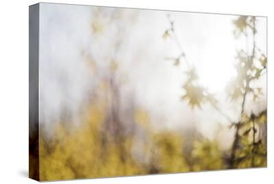 Stretched Canvas Print, , small