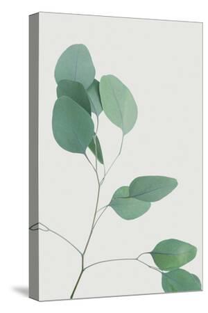 Stretched Canvas Print, , small