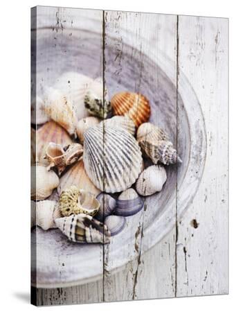Stretched Canvas Print, , small