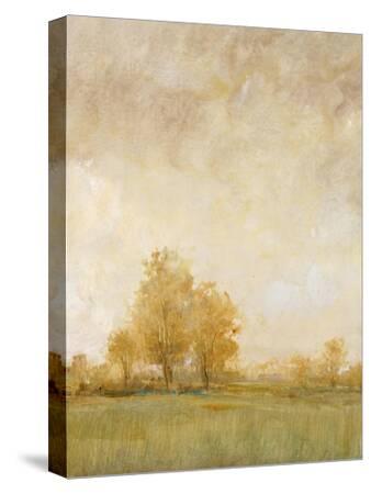 Stretched Canvas Print, , small