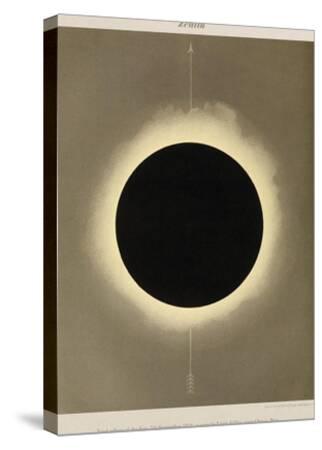 Stretched Canvas Print, , small