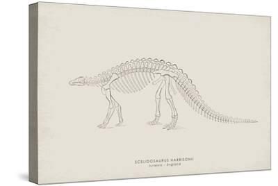 Stretched Canvas Print, , small