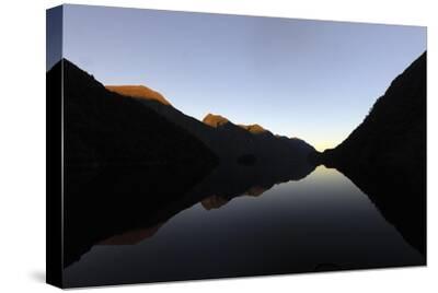 Stretched Canvas Print, , small