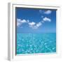 Tropical Horizons VI-Adam Brock-Framed Giclee Print