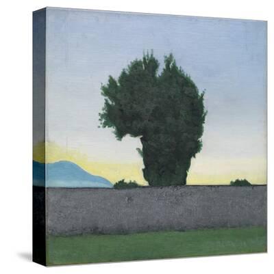 Stretched Canvas Print, , small
