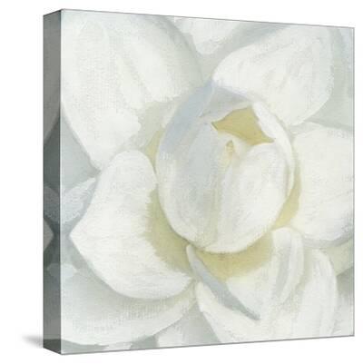 Stretched Canvas Print, , small