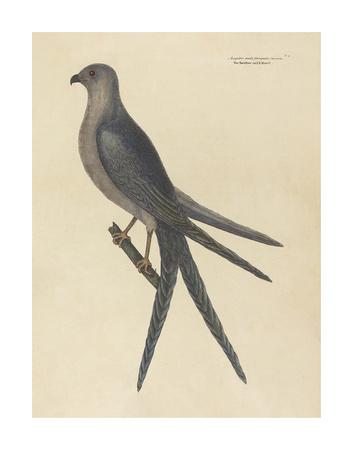 Premium Giclee Print, , small