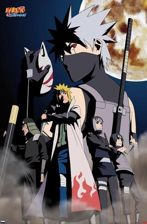 Naruto Characters Poster (24x36)