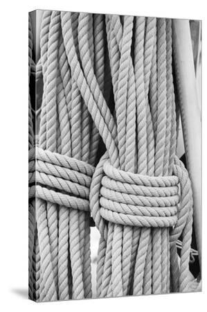 Stretched Canvas Print, , small