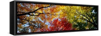 Stretched Canvas Print, , small