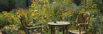 Photographic Print, , small