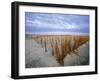 Beach in the Early Morning, Darss, Mecklenburg-Vorpommern, Germany-Thorsten Milse-Framed Photographic Print