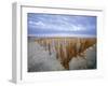 Beach in the Early Morning, Darss, Mecklenburg-Vorpommern, Germany-Thorsten Milse-Framed Photographic Print