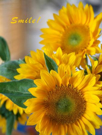 Photo, , small