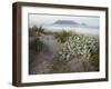 Tabletop Mountain, Table Bay, Capetown, South Africa-Merrill Images-Framed Photographic Print