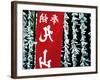 Fortune Papers at Shinto Shrine, Tokyo, Japan-Nancy & Steve Ross-Framed Photographic Print
