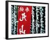 Fortune Papers at Shinto Shrine, Tokyo, Japan-Nancy & Steve Ross-Framed Photographic Print