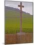 Stone Cross Marking the Grand Cru Vineyards, Romanee Conti and Richebourg, Vosne, Bourgogne, France-Per Karlsson-Mounted Photographic Print