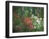 Azalea Reflection in Pond, Georgia, USA-Nancy Rotenberg-Framed Photographic Print