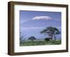 Mount Kilimanjaro, Amboseli National Park, Kenya-Art Wolfe-Framed Photographic Print