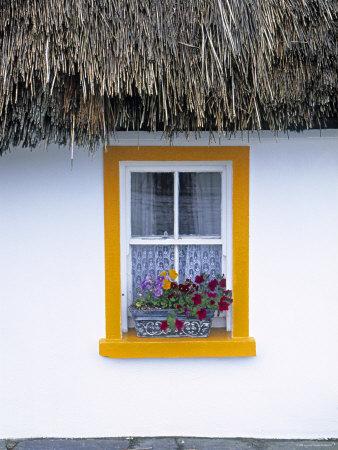 Premium Photographic Print, , small