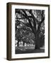 Oak Trees with Spanish Moss Hanging from Their Branches Lining a Southern Dirt Road-Alfred Eisenstaedt-Framed Photographic Print