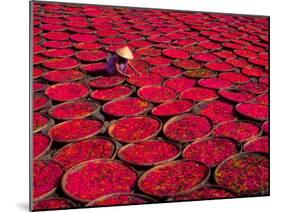 Candy Drying in Baskets, Vietnam-Keren Su-Mounted Premium Photographic Print