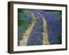 Tracks in Bluebonnets, near Marble Falls, Texas, USA-Darrell Gulin-Framed Photographic Print