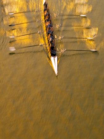Premium Photographic Print, , small