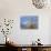 Bald Eagles in the Bitterroot Valley near Hamilton, Montana, USA-Chuck Haney-Photographic Print displayed on a wall