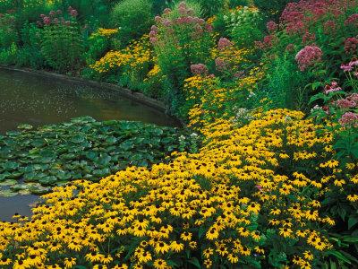 Photographic Print, , small