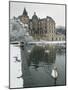 Chateau de Vizille Park, Swan Lake, Vizille, Isere, French Alps, France-Walter Bibikow-Mounted Photographic Print