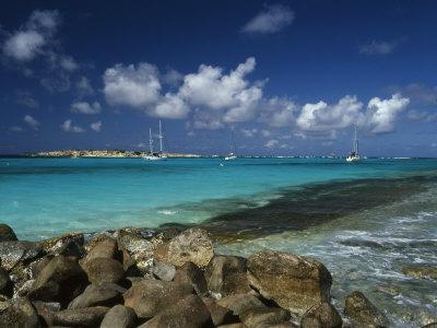 Premium Photographic Print, , small