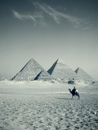 Premium Photographic Print, , small