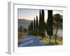 Country Road Towards Pienza, Val D' Orcia, Tuscany, Italy-Doug Pearson-Framed Photographic Print