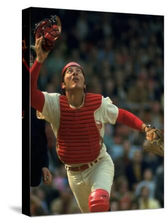 Stretched Canvas Print, , small