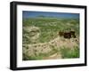 Olduvai Gorge, Serengeti, Tanzania, East Africa, Africa-Nigel Callow-Framed Photographic Print