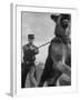 German Shepherd Trained to Protect Bombers at Sac Loring Air Force Base-null-Framed Photographic Print