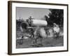 Whitwood Farm, Using of Anhydrous Ammonia Fertilizer-null-Framed Photographic Print