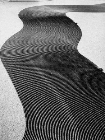 Photographic Print, , small