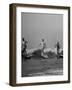 Men Riding the Waves on Surf Boards-null-Framed Photographic Print