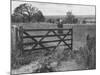 American Poet, Robert Frost During His Visit Where He Used to Live-null-Mounted Premium Photographic Print