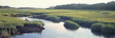 Photographic Print, , small