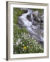 Stream Through Wildflowers, American Basin, Uncompahgre National Forest, Colorado, USA-James Hager-Framed Photographic Print