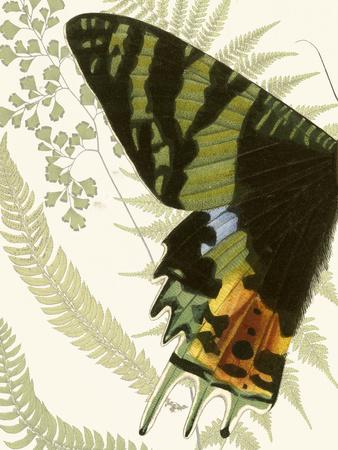 Premium Giclee Print, , small