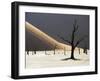 Blackened Camelthorn Trees in Dead Vlei, Near Sossusvlei, Namibia-Julian Love-Framed Photographic Print