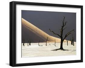 Blackened Camelthorn Trees in Dead Vlei, Near Sossusvlei, Namibia-Julian Love-Framed Photographic Print